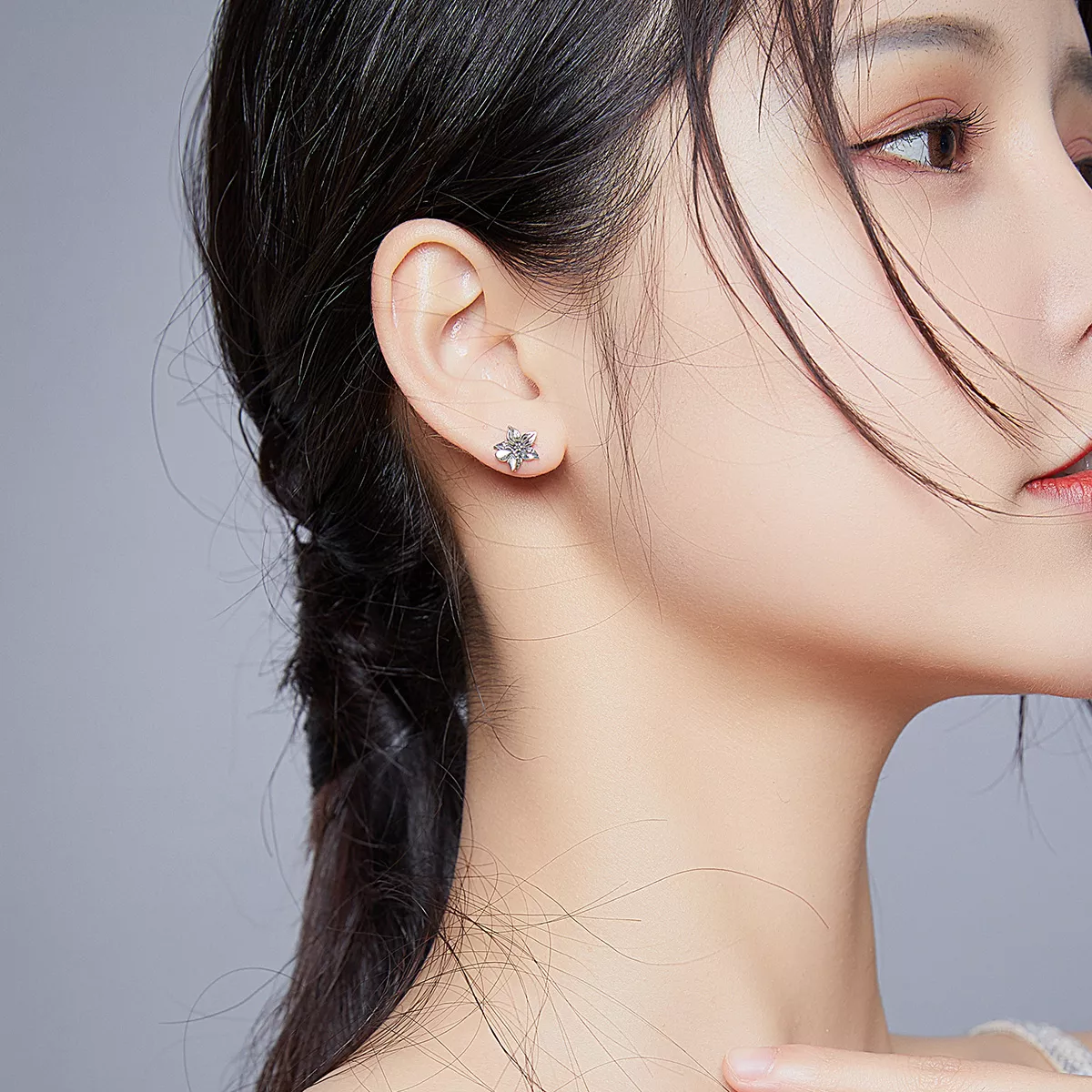 Brincos Petit Flores de amor de borboleta estilo Pandora - SCE887