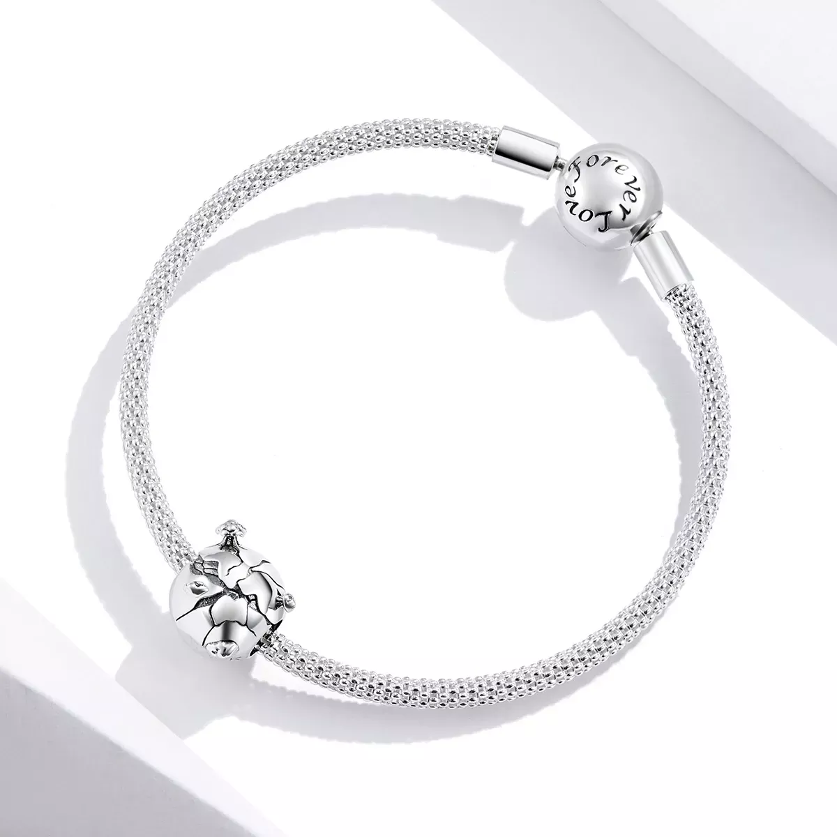 Pandora Style Protect The Earth Charm - SCC1581