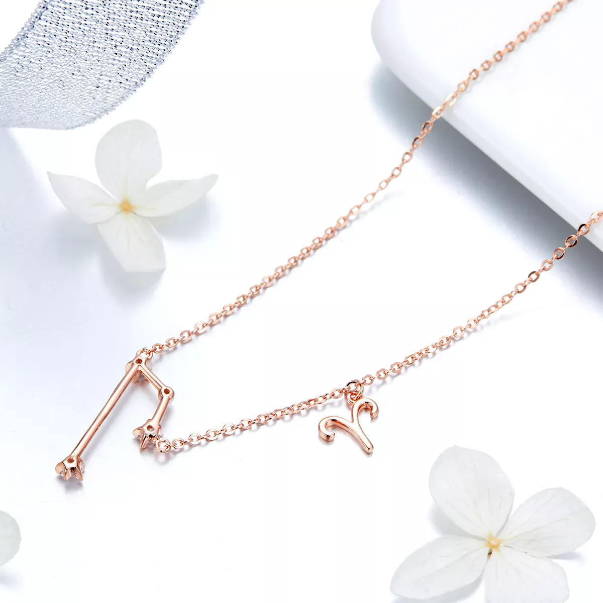 Pandora Style Aries Necklace - BSN023
