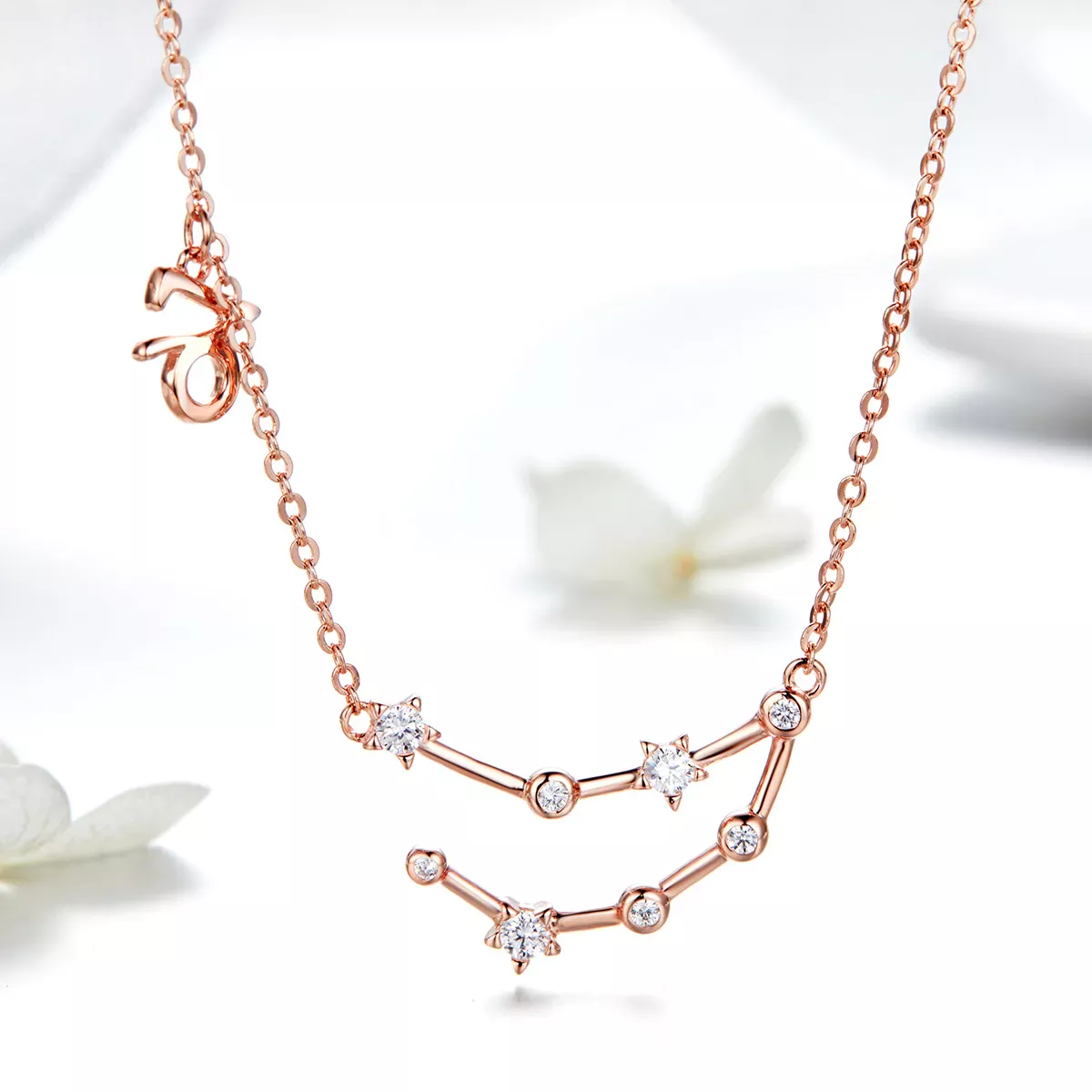 Pandora Style Capricorn Necklace - BSN026