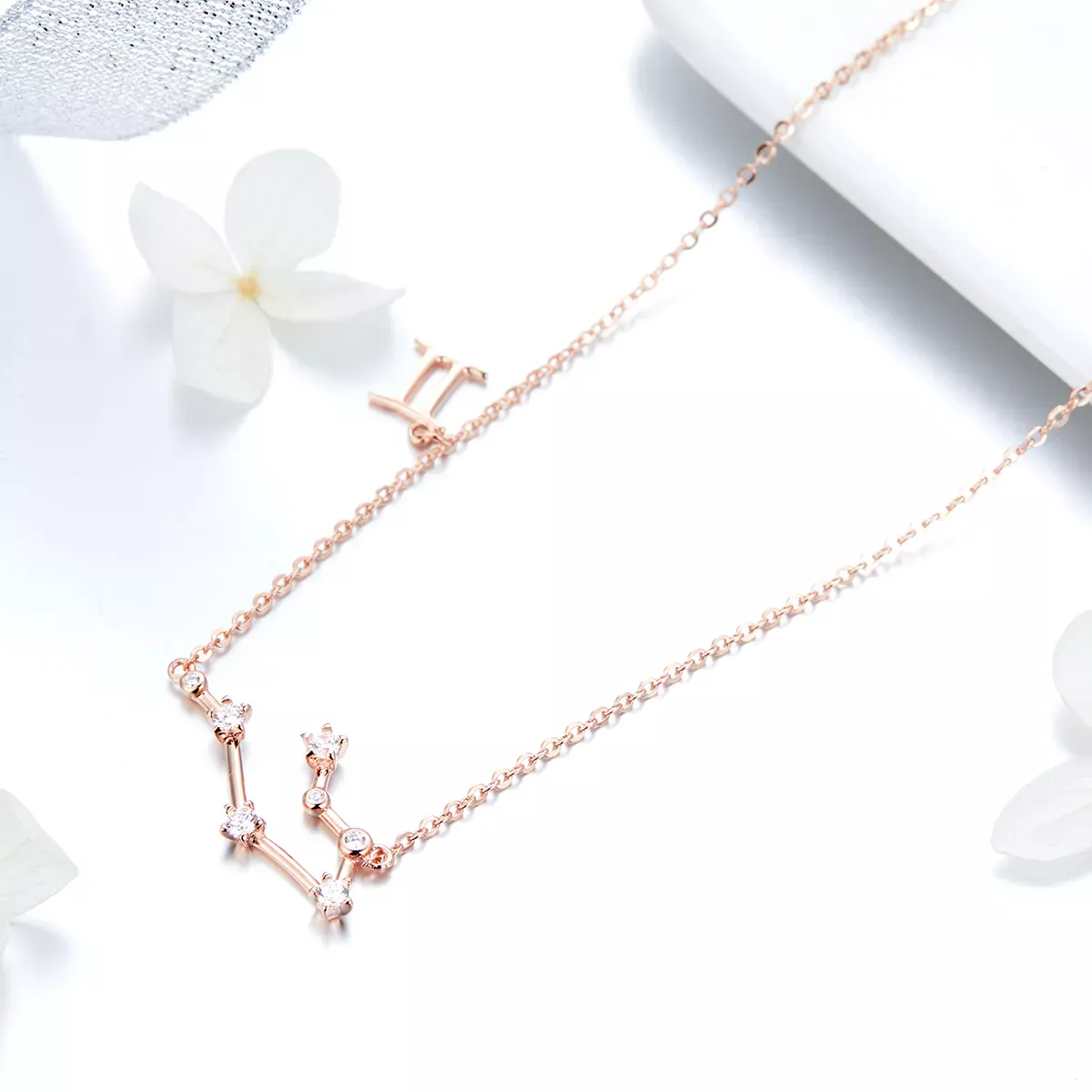 Pandora Style Gemini Necklace - BSN015