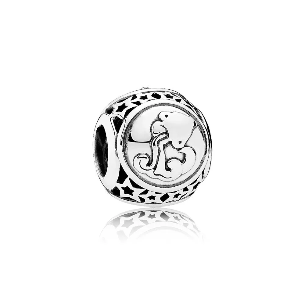 charm berloques pandora constelação aquário 791934