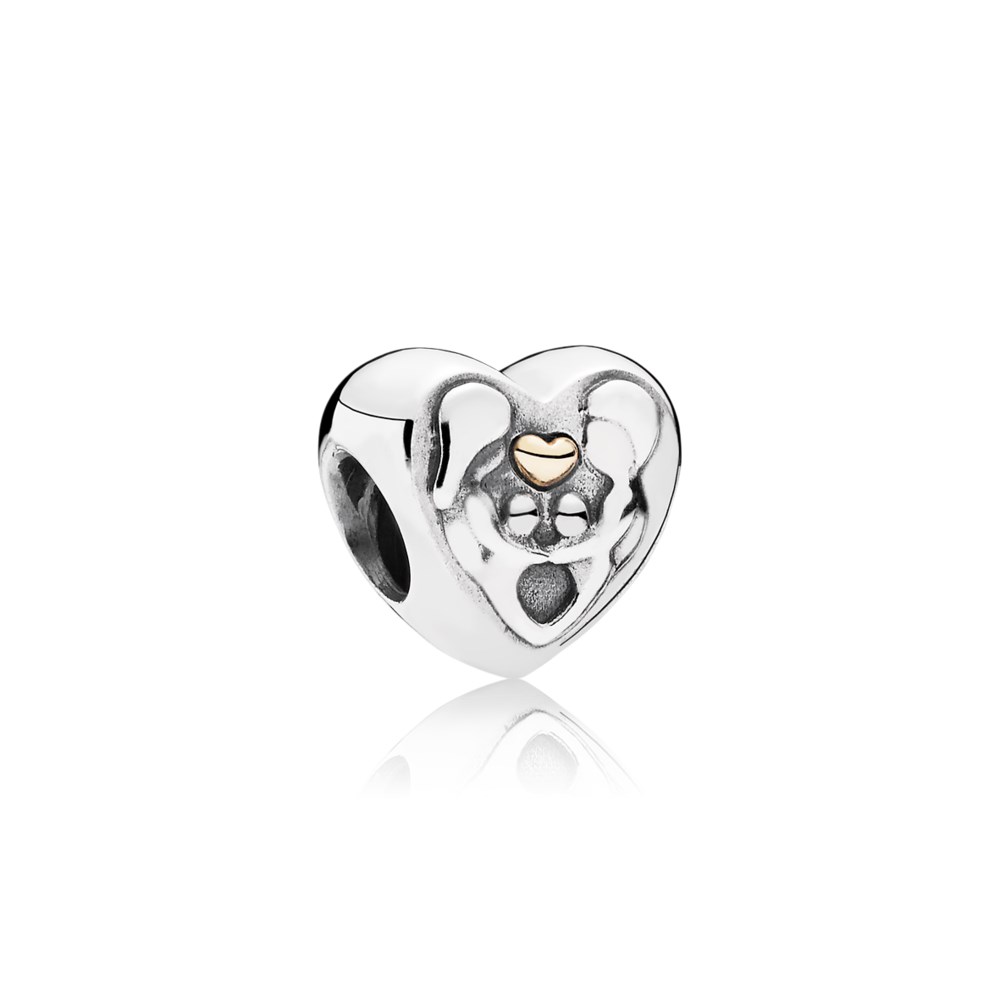 charm berloques pandora coração de família 791771