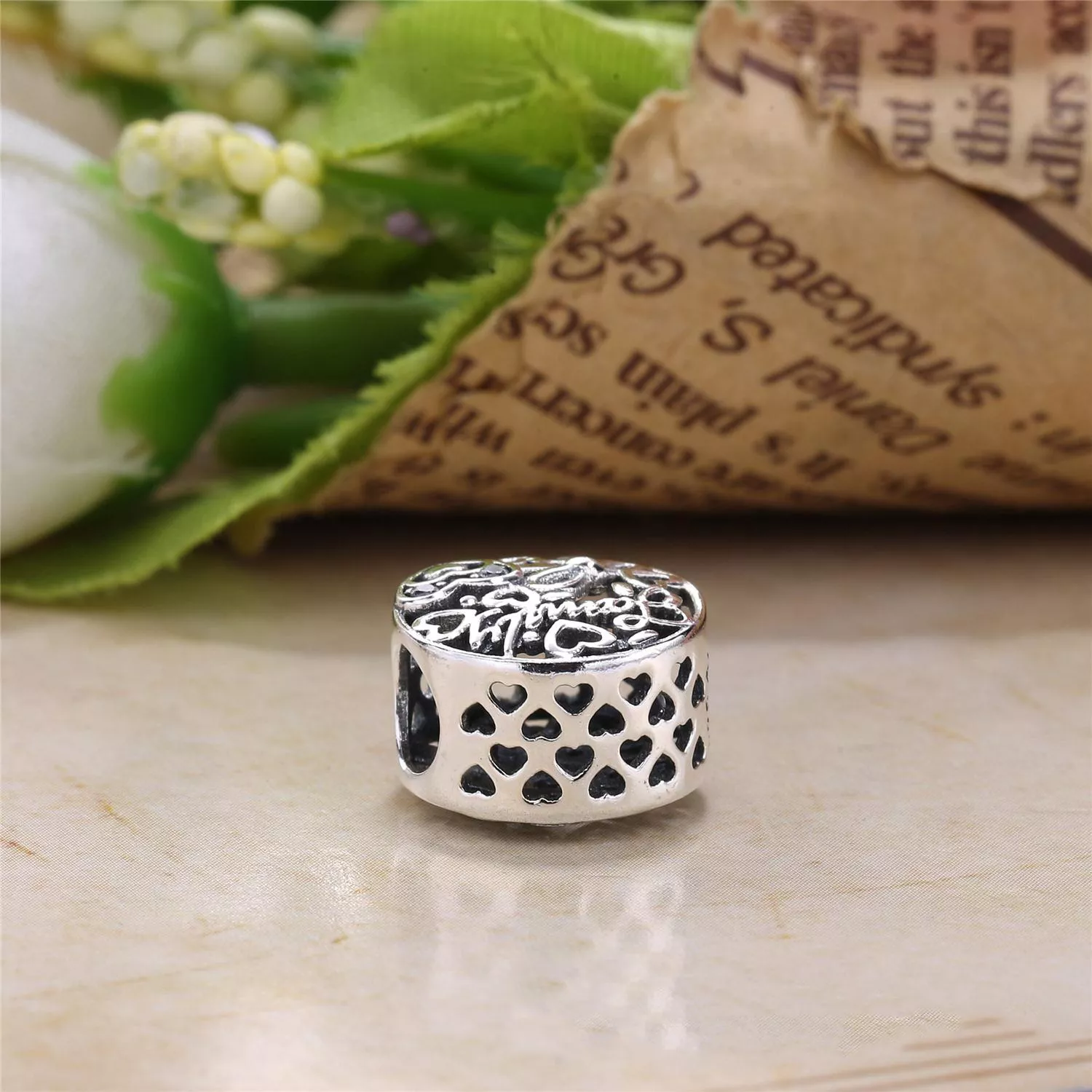 Charm berloques PANDORA Minha Família - 796267CZ