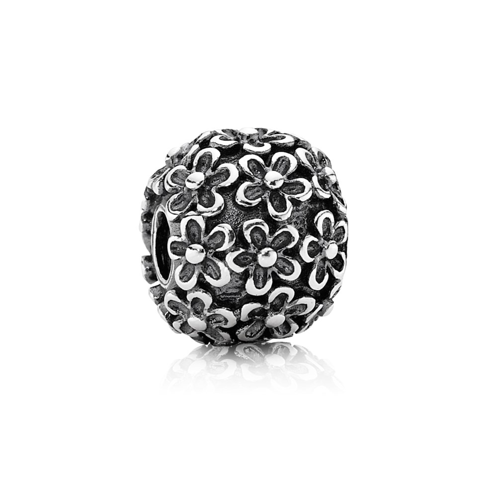 posies xl silver charm pandora 790868