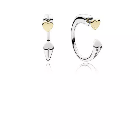 fotos dos brincos pandora