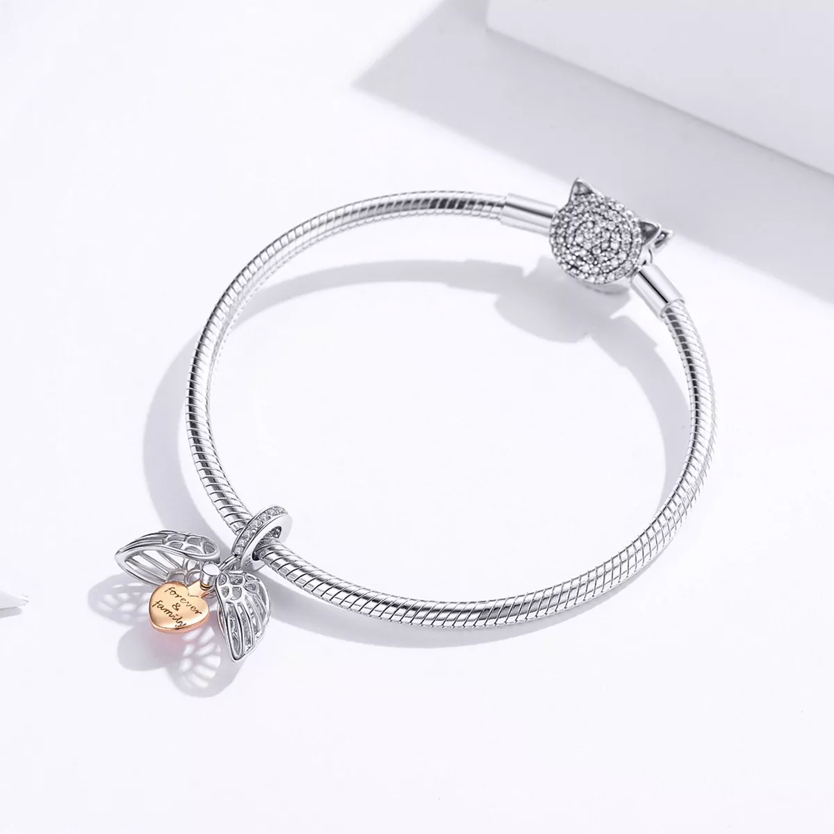 Charm Pendente Para sempre e família estilo Pandora - SCC1299